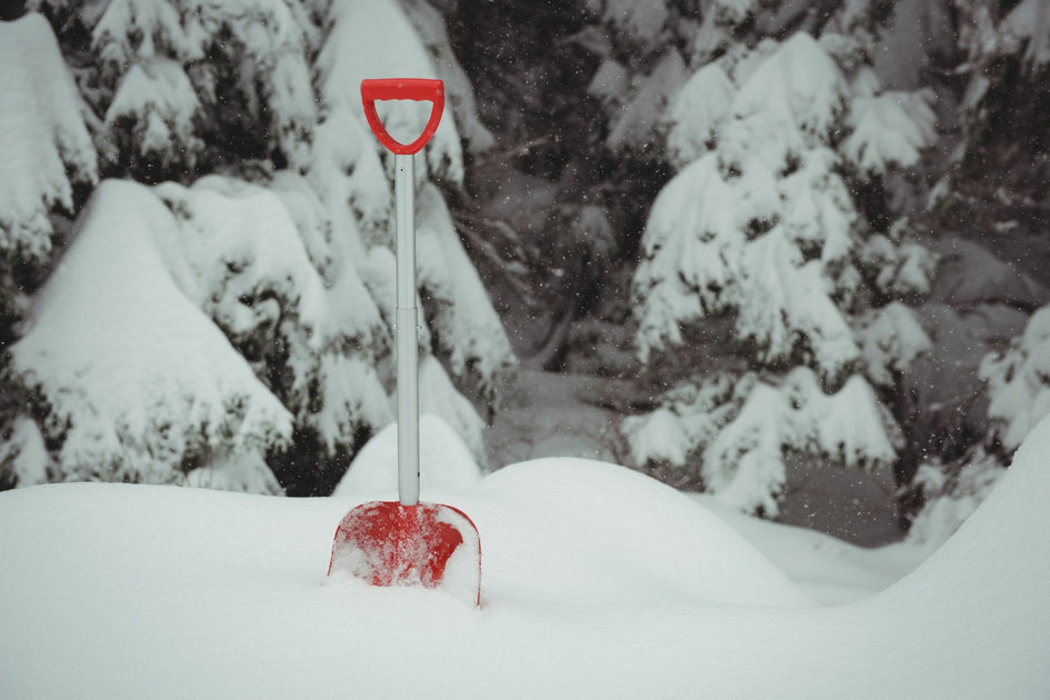 Avalanche and Mountain Safety – Coast Ropes and Rescue