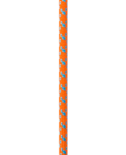 BUCCO 11.6MM