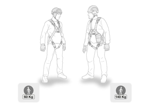 ABSORBICA-Y MGO International Version