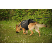 K9 Floater Vest