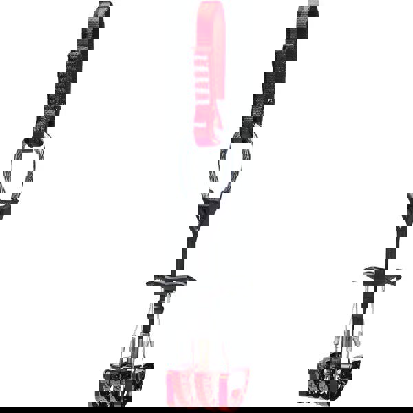 CAMALOT C4 CAM
