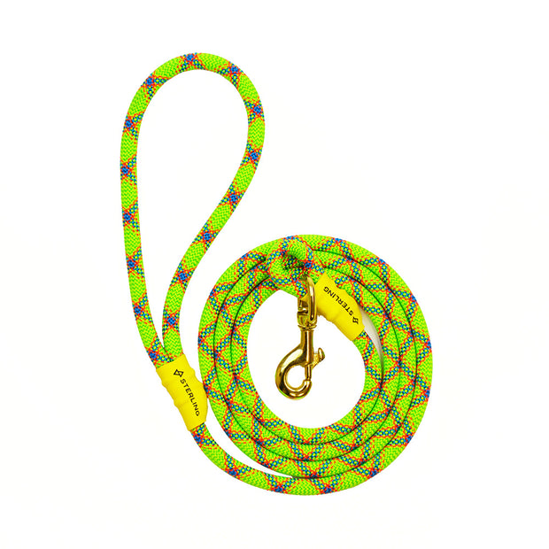 REPURPOSED ROPE DOG LEASH